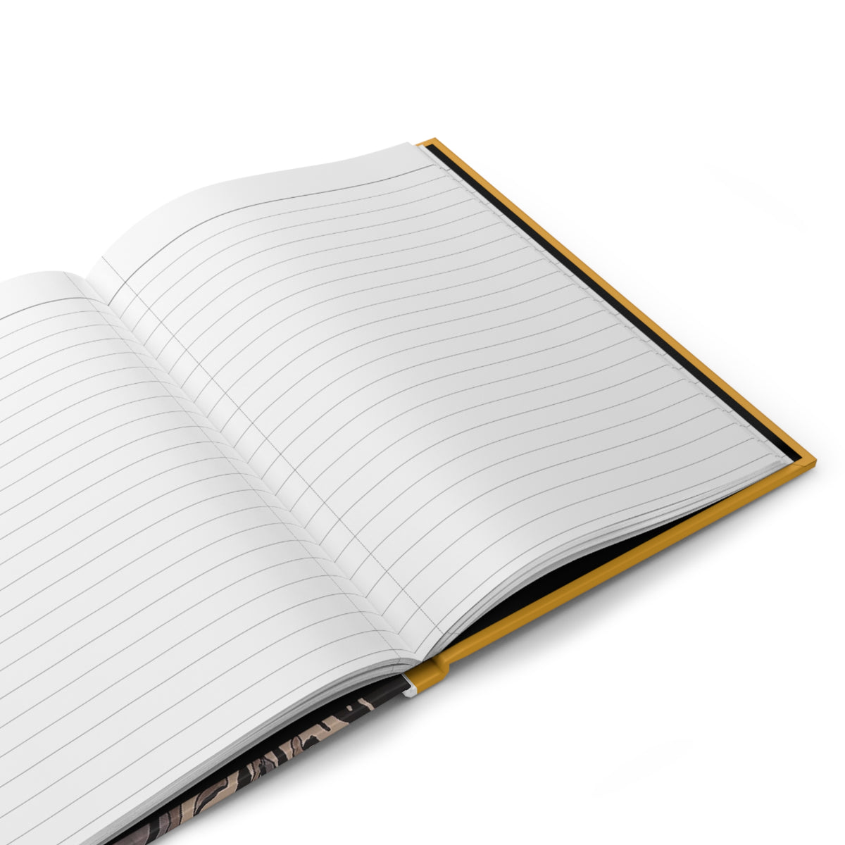 Notebook Fish